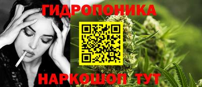 сатива Лесосибирск